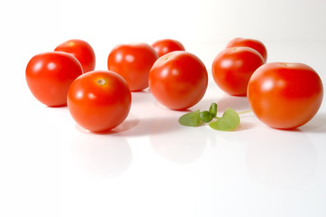 Tomaten 01