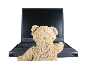 Teddy-Baer vor LapTop