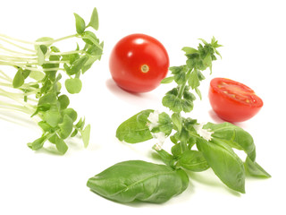 Tomaten mit Basilikum