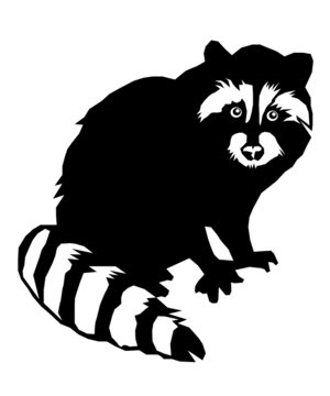 Download 2 710 Best Raccoon Silhouette Images Stock Photos Vectors Adobe Stock