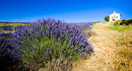 Fototapeta premium kaplica, Plateau de Valensole, Prowansja, Francja