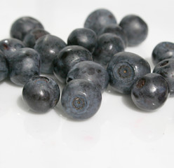 blueberries on white background