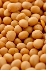 Closeup of soybeans