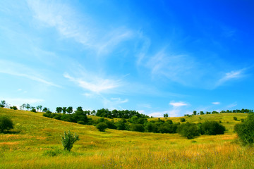 Obraz premium summer landscape