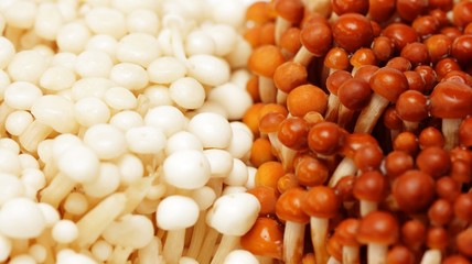 White and brown enoki