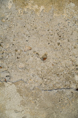 Old Wall Texture