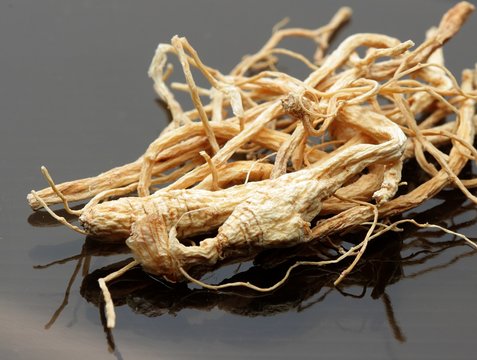 Panax Ginseng