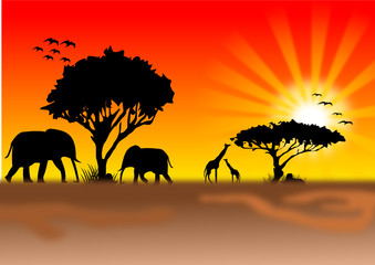 Fototapeta na wymiar Afrika mit Tieren und Sonnenuntergang
