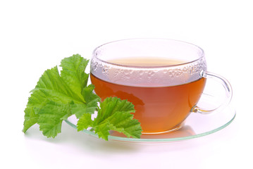 Tee Malve - tea malva 02