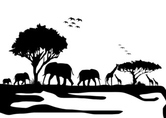 Silhouette von Afrikanischen Tieren
