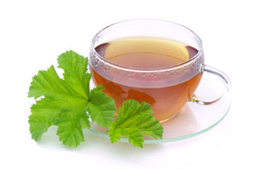 Tee Malve - tea malva 03