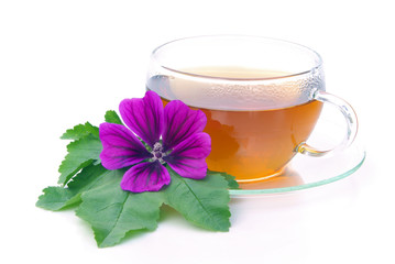 Tee Malve - tea malva 06