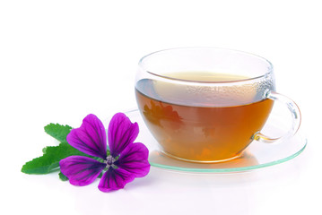 Tee Malve - tea malva 07