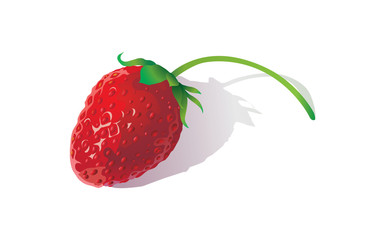 strawberry