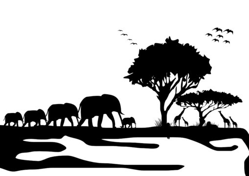 Silhouette von Afrikanischen Tieren