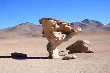 Fototapeta na wymiar Arbol de Piedra ((Stone Tree)