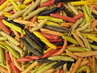 Lovely multicolor Italian pasta in white plate