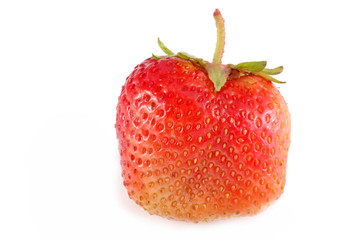 red strawberry