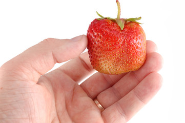 red strawberry