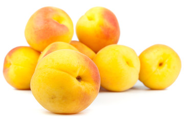 Fresh apricots