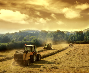Obraz premium tractors