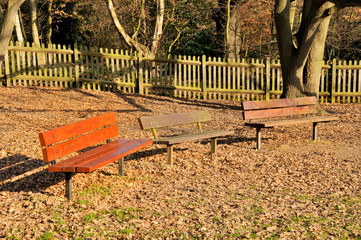 Three benches in a park