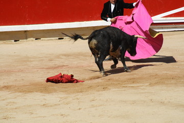 Novillada y espectaculo taurino en San Fermín, Pamplona.