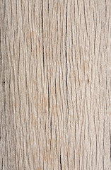 Texture of old tropical wood