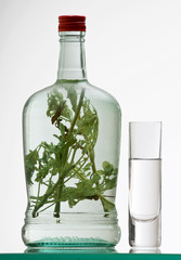 bottle and glass of herb rakia