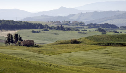 Fototapeta premium Landflucht