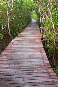 Wood bridge in mangrove forest, Thailand © Sura Nualpradid