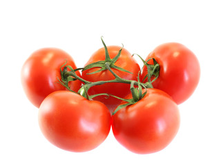 Tomato