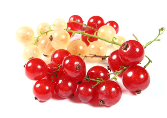 Fresh red and white currants