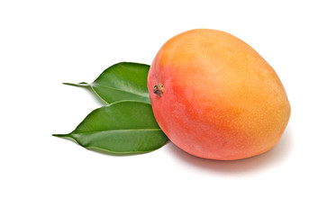 Mango on leaves isolated on white background