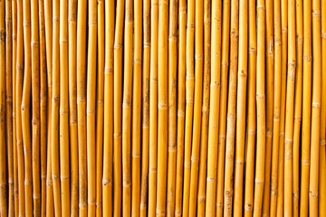 Tropical bamboo fence