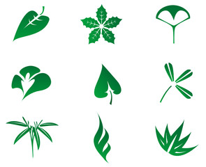 Set of leaves icons isolated on white
