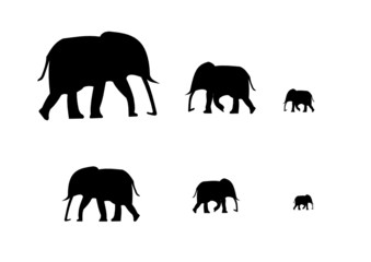 Elefant als Silhouette