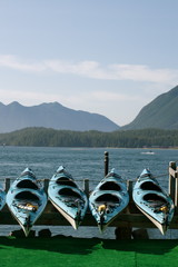 Close-up of canoes or kayaks
