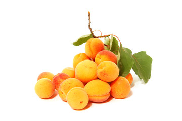 abricots bio du jardin