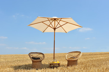Sieste à l'ombre.
