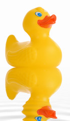 yellow rubber duck floating in the water on white background