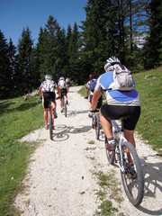 Fototapeta premium mountain bike
