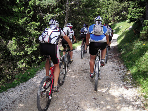 mountain bike