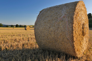 Strohballen Nahaufnahme