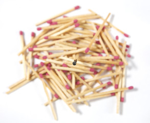 Pile of matches with one standout