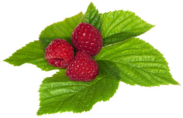 fresh raspberryes with leaves, isolated