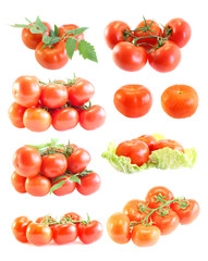tomatoes