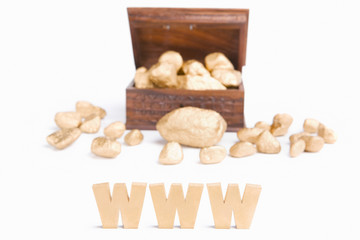 WWW bring wealth concept