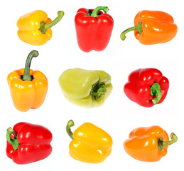Red yellow orange green pepper. (isolated)