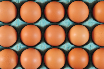 Eggs in carton